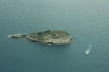 Whalewatching boat circling Seal Island, Albany  WA