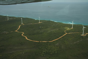 Albany Wind Farm 