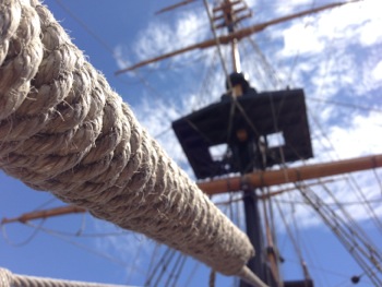 Visit the Brig Amity Replica with children