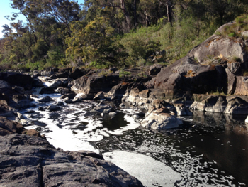 Circular Pool at high Summer