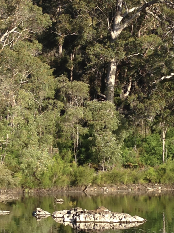 The base of Circular Pool, Frankland River