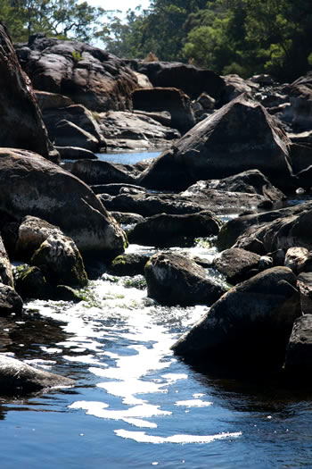 Circular Pool River