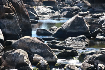 Circular Pool, Walpole-Nornalup National Park