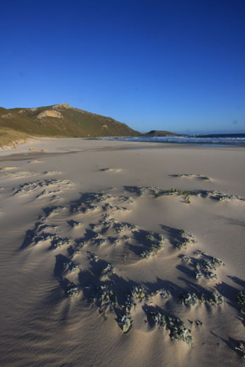 Conspicuous Cliff Beach, Part of the Bibbulmun Track, Walpole-Nornalup National Park