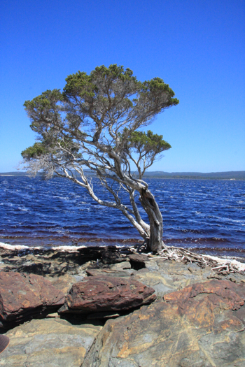 Broke Inlet in D'entrecasteaux National Park