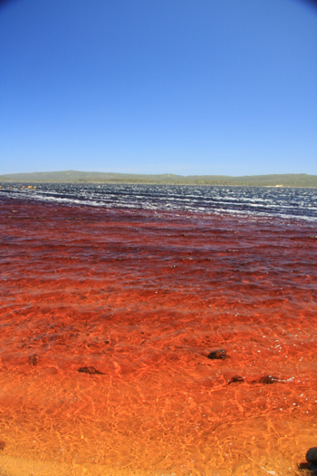 Broke Inlet, D'entrecasteaux National Park