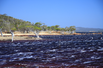 The windswept shores of Broke Inlet in D'entrecasteaux National Park