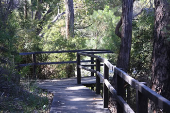 Fernhook Falls, Walpole Wilderness Area