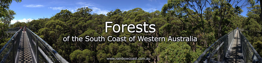 Birts of the South Coast of Western Australia