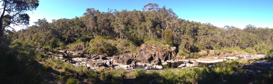 Birts of the South Coast of Western Australia