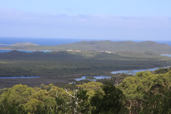 Hilltop Lookout, Walpole