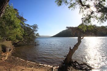 Nornalup Inlet - The Channels