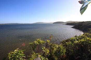 Nornalup Inlet View from Lookout