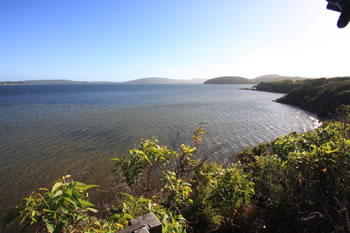 Knoll Scenic Drive, Walpole-Nornalup National Park