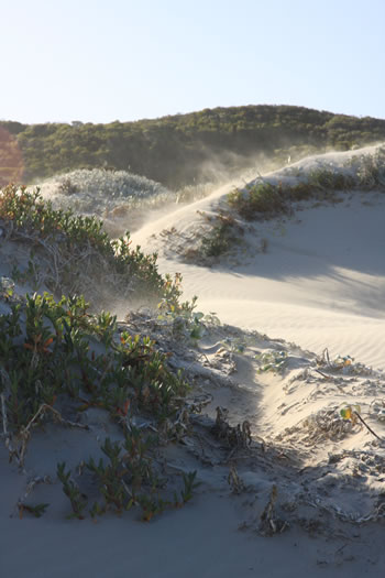 Mazzoletti Beach, William Bay National Park, Where is Mazzoletti Beach