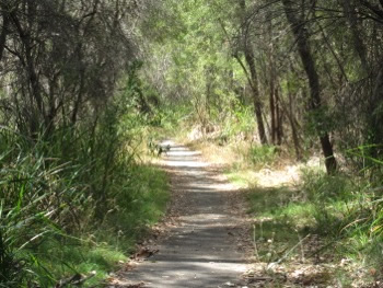 Denmark Heritage Rail Trail