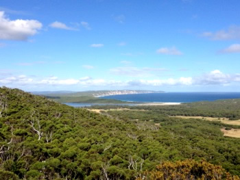 Karri Forests of Denmark, WA 