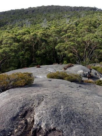 Monkey Rock looking uphill