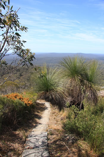 Walpole Wilderness Area, Western Australia