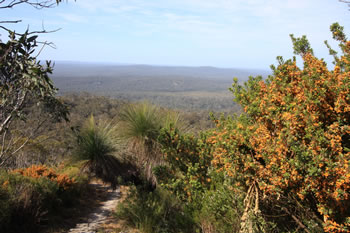 Rockwood Trail