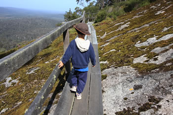 Rockwood Trail at Mt Frankland