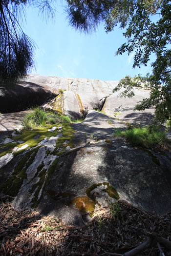 Mount Frankland from Rockwood Trail