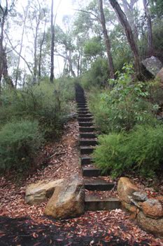 Stairs to Mount Frankland, Walpole