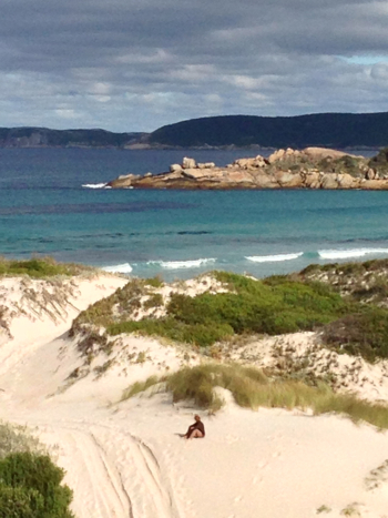 4 Wheel Driving on Nanarup Beach, Nanarup, Albany, Australia