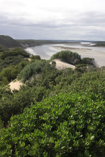 The Irwin Inlet, Walpole