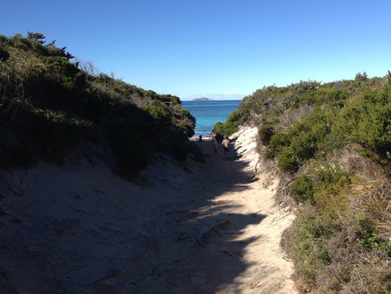 Path to the beach