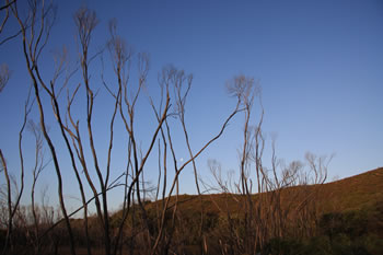 Quarrum Nature Reserve and Owingup Swamp