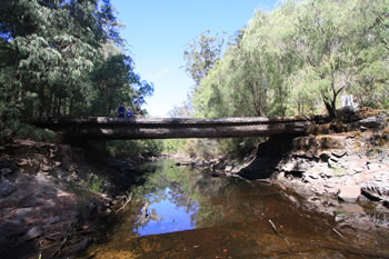 Sappers Bridge, Walpole Wilderness Area