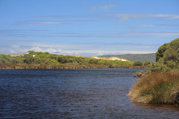 Torbay Inlet, Torbay