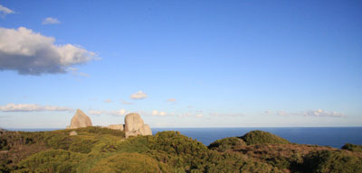Tower Hill Panorama, William Bay NP