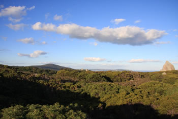 Tower Hill, William Bay National Park