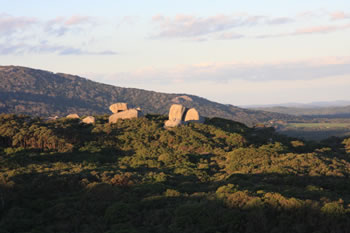 Tower Hill, William Bay NP