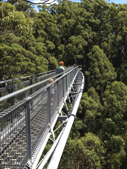 Visitors to the Valley of the Giants