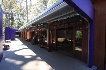 Platform in the Valley of the Giants