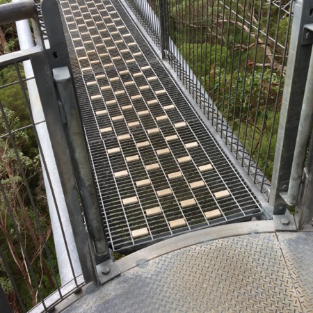 Walkway of the Valley of the Giants Treetop Walk