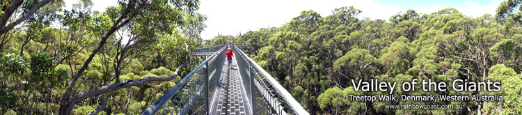 Valley of the Giants Treetop Walkway, Walpole Wilderness Area