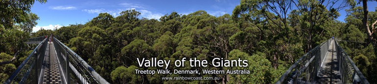 Valley of the Giants Treetop Walk, Denmark WA