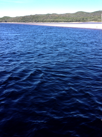 Shores of the Walpole Inlet