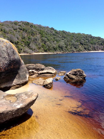 Nornalup Inlet along The Depot Peninsula