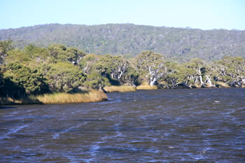 Walpole Inlet, Western Australia