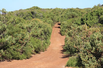 Cycling in West Cape Howe National Park