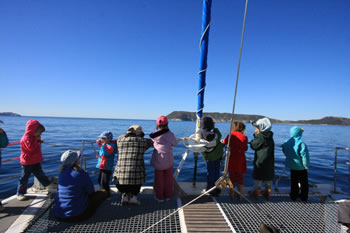 Albany Whale Tours - on deck