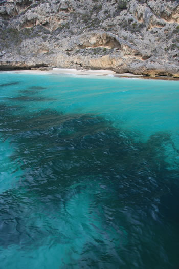 Whale Watching Tours in Albany Australia