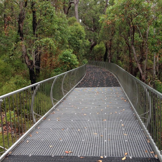 Mount Frankland Pathways