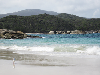 Waterfall Beach, water across the beach