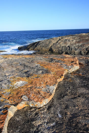 Wilson Head South